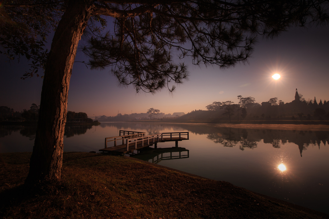 Lake At Night In The Forest